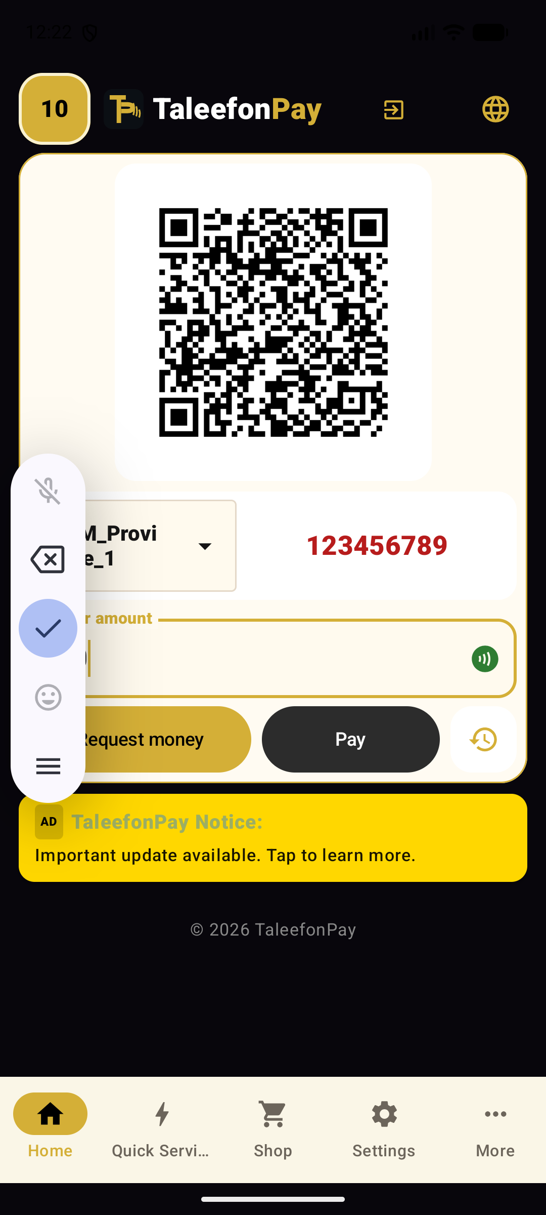 TaleefonPay Receiving Screen