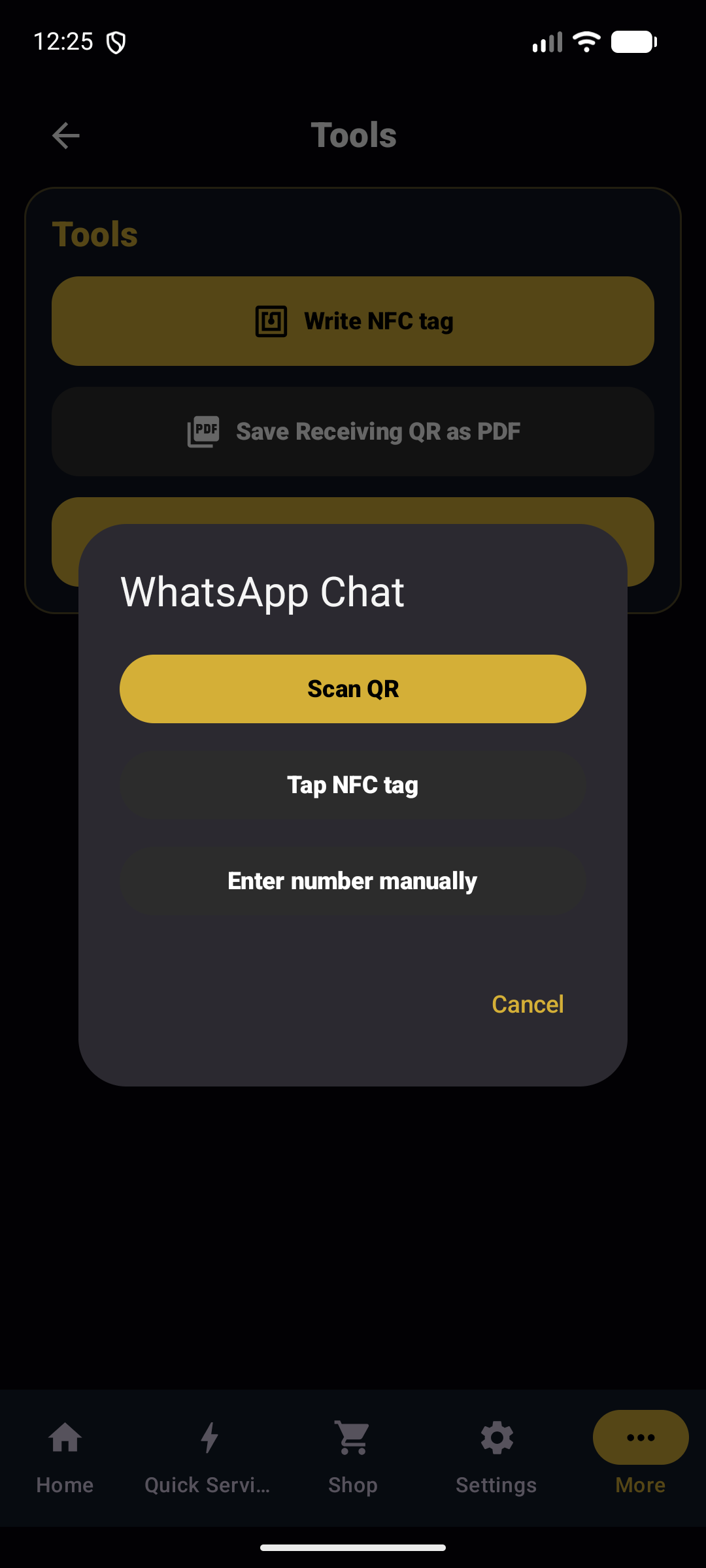 WhatsApp Support Interface